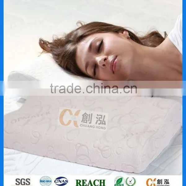 Contour Foam Pillow