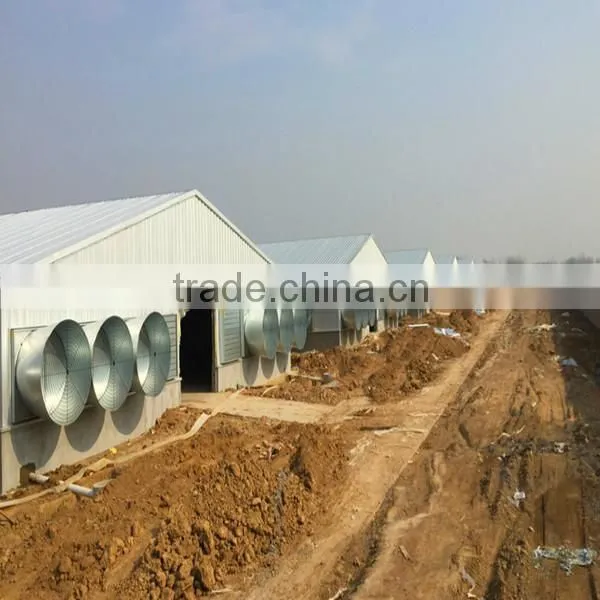 Best Manufacturer for Prefabricated Steel Structure Poultry House