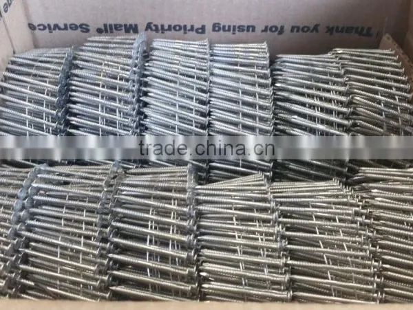 Coil Roofing Nails Factory photo-3