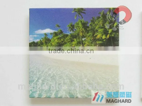 Indian Tourist Souvenir Iron Fridge Magnets photo-2