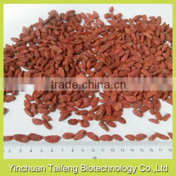 Natural Goji Fruit photo-2
