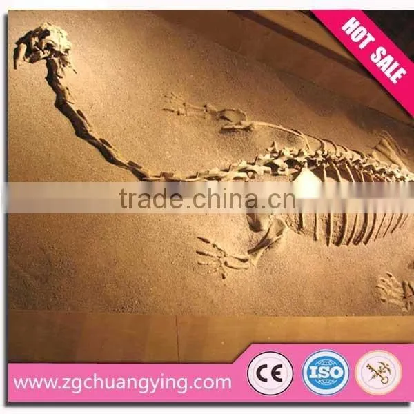 Exhibition Fiberglass Dig Dinosaur Fossil
