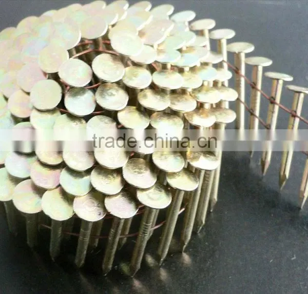 Galvanized Pallet Roofing Coil Nail From Factory photo-3
