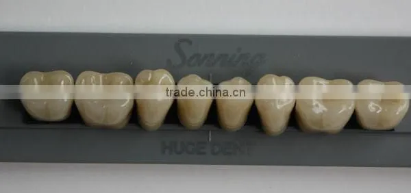 Huge Dental Sonning Full Set Acrylic Denture Teeth photo-6