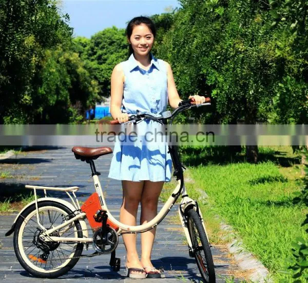 Mini,20 Inch Front Wheel Hub Motor 350 Watt Electric Bike Conversion Kit 36v Battery photo-2
