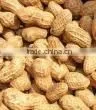 Delicious Roasted Peanuts in Shell for Sale photo-5