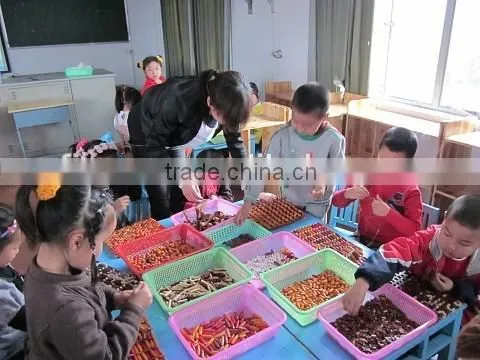 Buddha Beads Machine photo-6