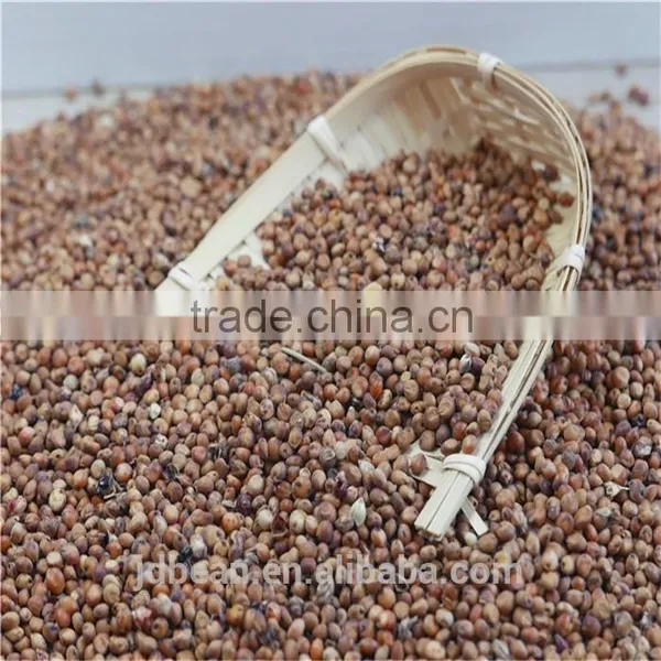 Natural Glutinous Red Sorghum Price photo-6