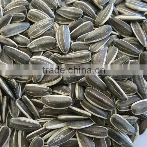 Supply All Kinds Of Sunflower Seeds photo-3