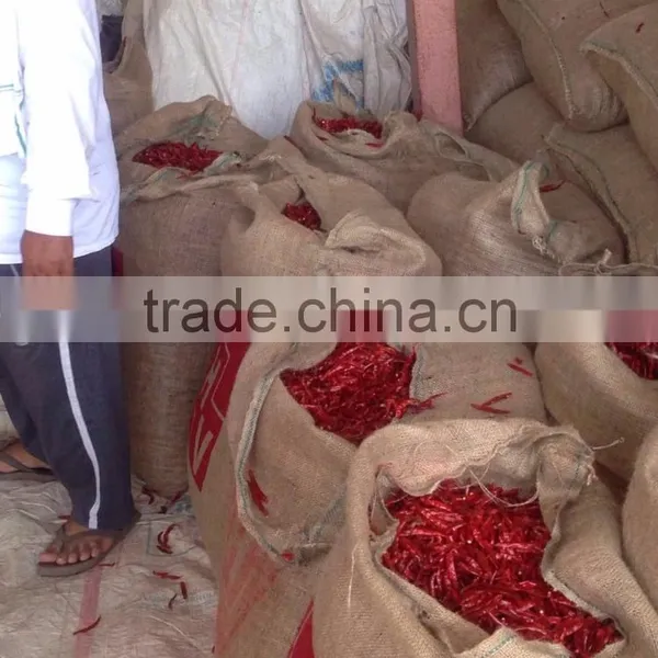 DRIED CHILLI