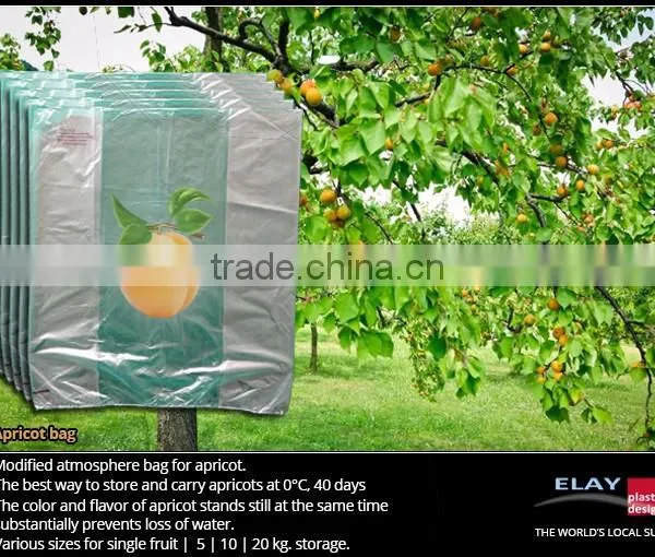 Pineapple Bag photo-3