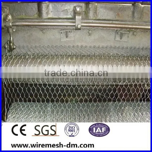 Galvanized Hex Wire Mesh / Chicken Wire Mesh / Hex Wire Mesh photo-2