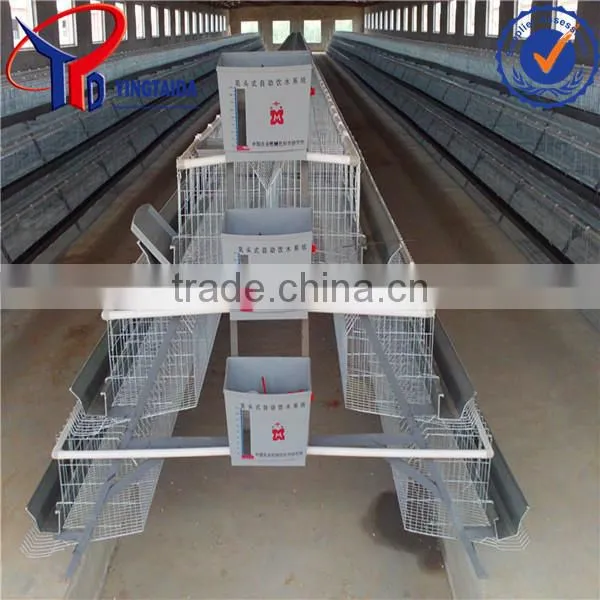 Chicken Layer Equipment for Poultry Farm