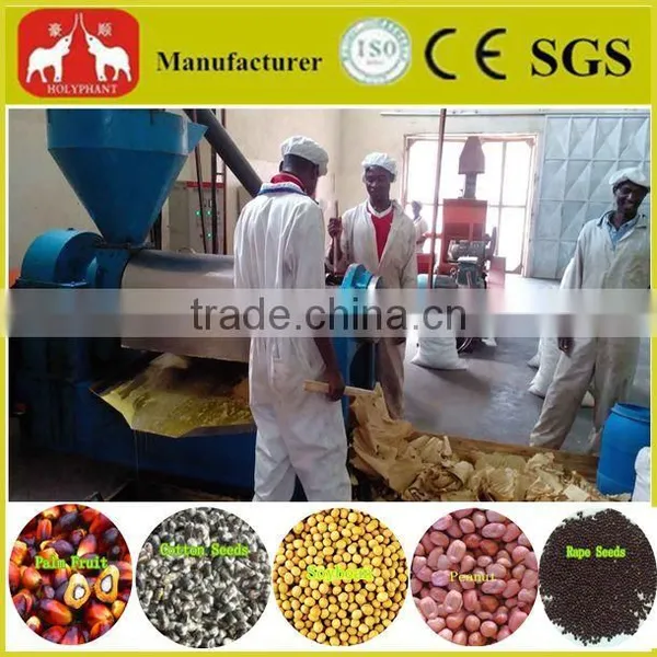 2014 Hot Sale Palm, Palm Kernel. Sunflower, Peanut, Soybean, Coconut Oil Press Machine, Oil Press photo-4