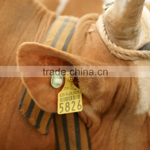 New Products RFID Animal Ear Tag/plastic Ear Tag for Cattles /pigs photo-2