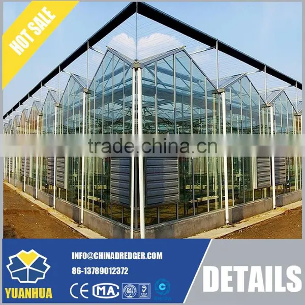 Venlo Type Glass Greenhouse for Vegetable and Flowers Growing photo-3