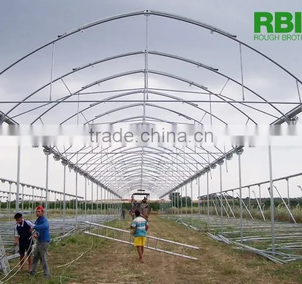 Vegetable Commercial Film Low Cost Greenhouse Multi Span High Quality for Agriculture photo-6