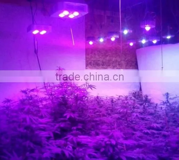High Quality Hydroponic Solution of Indoor Grow Lights for Vegetables by Manufacturer and Supplier photo-3