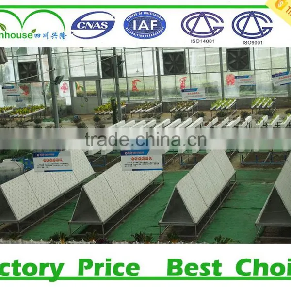 Low Cost Greenhouse Hydroponica photo-2