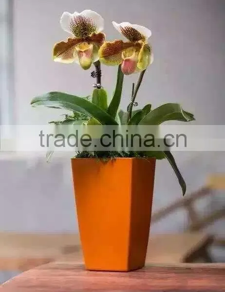 Vertical Garden,square Planter,self Watering Flower Pot photo-2