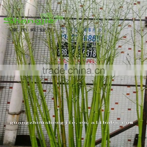 SJLJ013165 High Quality Artificial Plants and Trees/artificial Bamboo Wood Stem photo-3