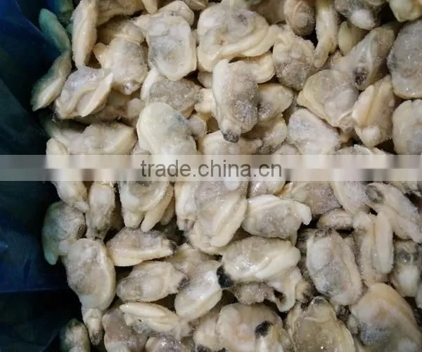 IQF Cooked Baby Clam Meat Without Shell for Export photo-2