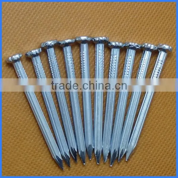 Galvanized Concrete Steel Nails From Guangzhou Supplier photo-5