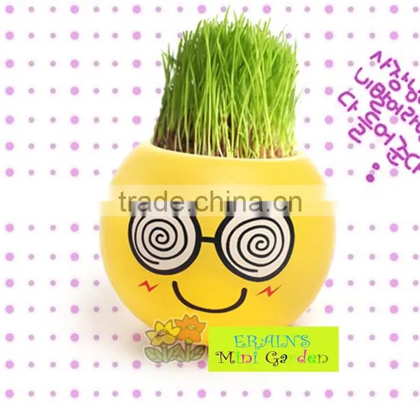 Mini Garden Growing Grass Hair Toy Growing Grass Head Toys 002-2(ceramic Colour Glaze) photo-6