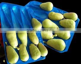 2016 Hot Sales Disposable Plastic Fruit Liners photo-3