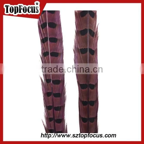High Quality for Showgirl Carnival Costume Ringneck Tail Pheasant Feathers photo-2