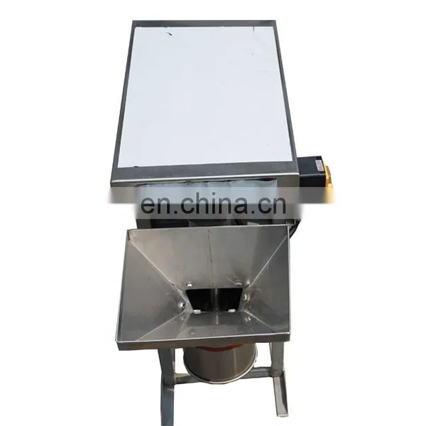 Industrial Onion Chopper Ginger and Garlic Paste Machine Tomatoes Grinder Machine for Sale photo-6