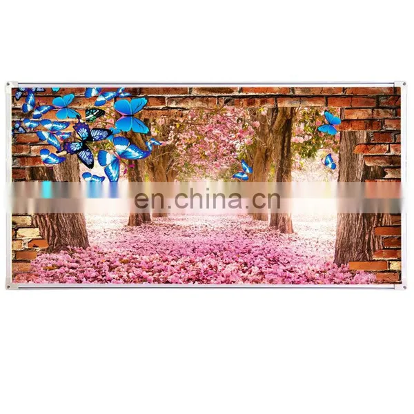 Duolang 800w Wall Mount Infrared Panel Carbon Crystal Infrared Heater Painting Heater photo-6