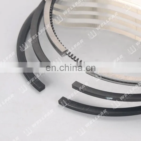 1.9L Diesel F8Q Clio R19 Npr Piston Rings for Renault Machinery Engine Auto Part photo-3