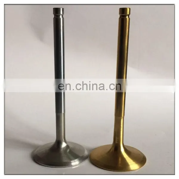 Wholesale Car Spare Parts For Renault CLIO Grandtour 1.6 16V KR0B KR10 K4m Engine Valves photo-6