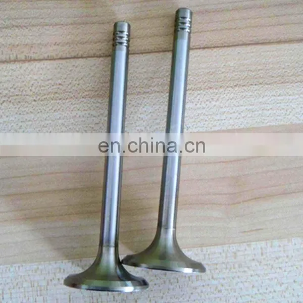 Trade Assurance Auto Parts Engine Valve For BYD S6 M6 2.4L 488QA BYD488QA-1007117 BYD488QA-1007318 photo-5