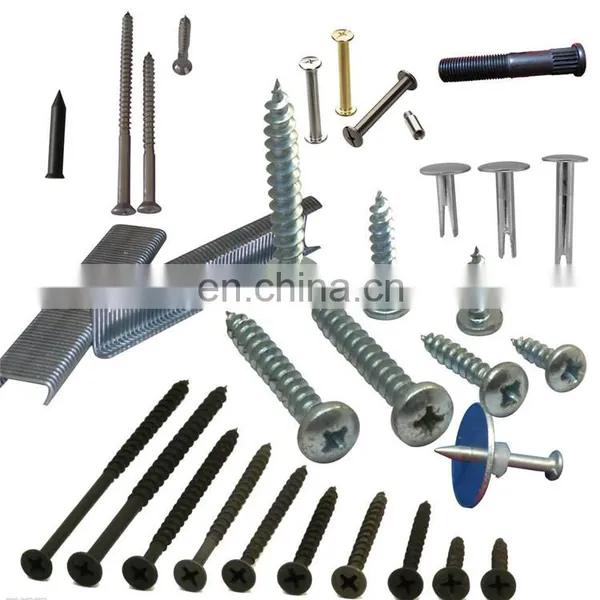 Common Steel Wire Nail From China Factory photo-2