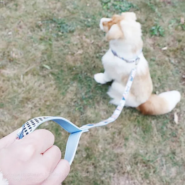 Factory Directly Supplied Pet Chest Strap Traction Rope Set Mesh Imitation Nylon Dog Clothes Triangle Dog Chest Back