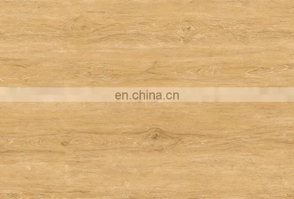 New and Hot Products Discontinued 1200x600mm Floor Tile photo-2