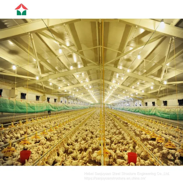Steel Structure Chicken Houses for 1000 Chicken photo-5