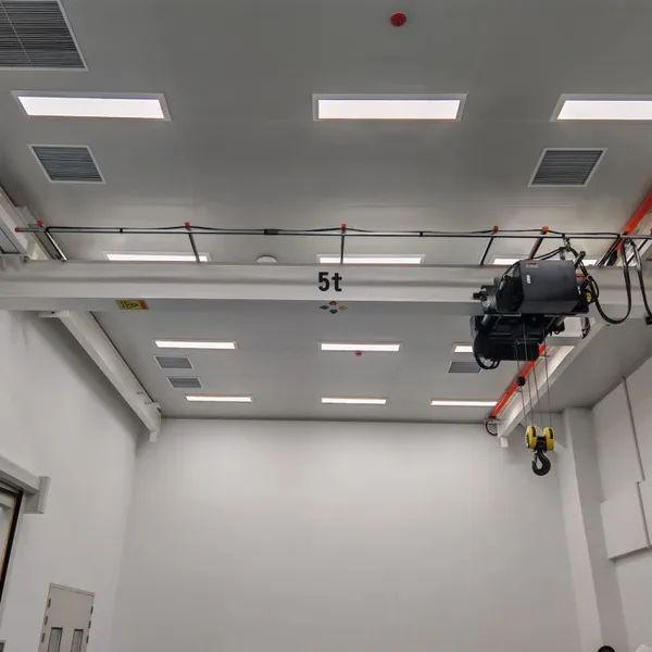Custom Single Girder Overhead Crane with Electric Hoist