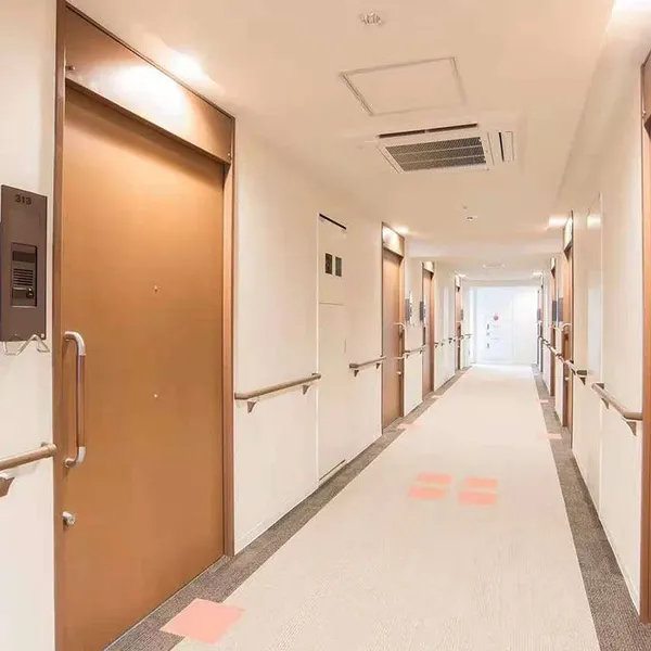 Japanese Style Hospital Corridor Handrails, Anti-collision Handrails, Wall Handrails，Japanese Nursing Home Handrails photo-5