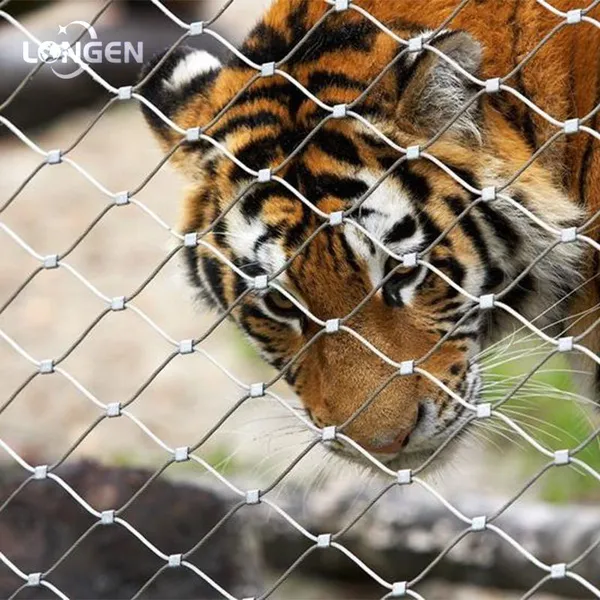 Free Provision of Stainless Steel Zoo Mesh Samples photo-5
