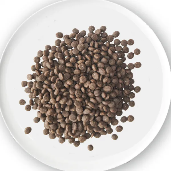 Complete Gestation Period Cat Food photo-2