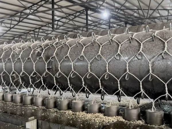 Galvanized Double Twist Steel Mesh Grid Structure Reinforced Mesh for Coastal Rockfall Protection Netting Factory Direct photo-5