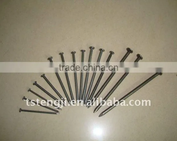 Tangshan Concrete Steel Nail