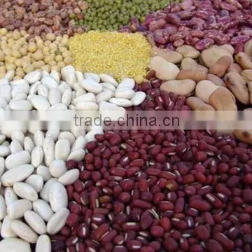 Light Speckled Kidney Beans