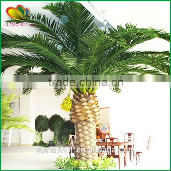 Wholesale Artificial Big Date Palm Tree Fake Plants photo-5