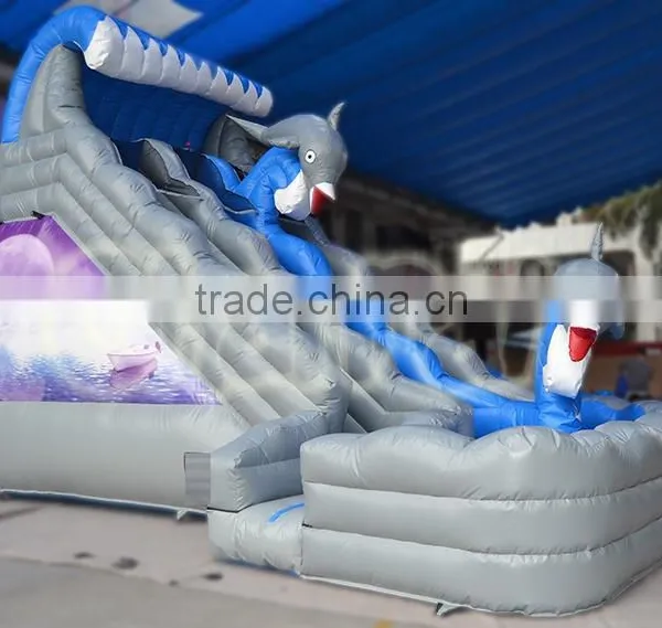 Sea Waves Inflatable Water Slide for Kids photo-4