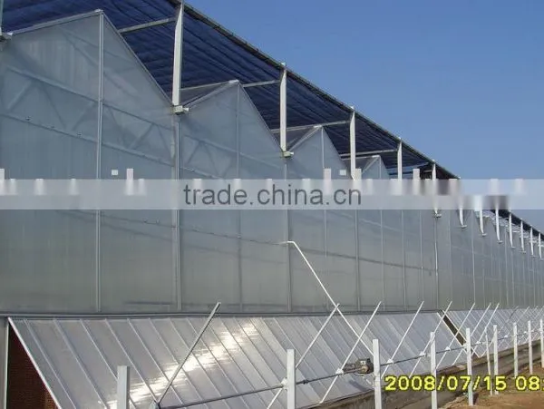 Polycarbonate PC Sheet Multi-span Greenhouse