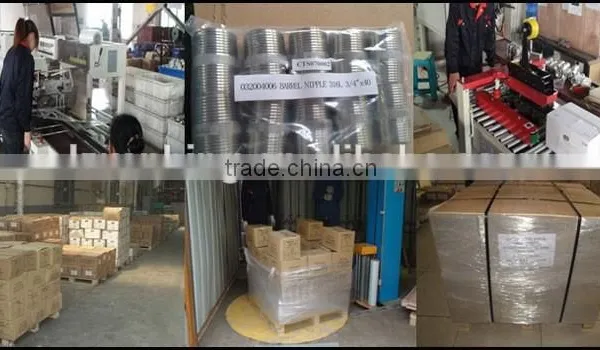 Factory Direct Selling Standard Stainless Steel Mini Ball Valve photo-5